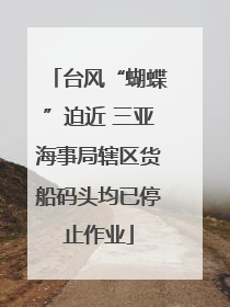 台风“蝴蝶”迫近 三亚海事局辖区货船码头均已停止作业