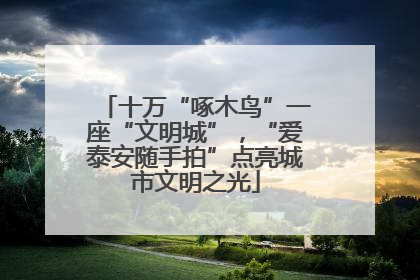 十万“啄木鸟”一座“文明城”，“爱泰安随手拍”点亮城市文明之光