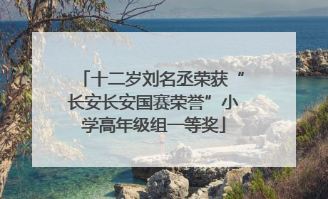 十二岁刘名丞荣获“长安长安国赛荣誉”小学高年级组一等奖