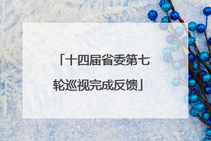 十四届省委第七轮巡视完成反馈