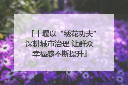 十堰以“绣花功夫”深耕城市治理 让群众幸福感不断提升
