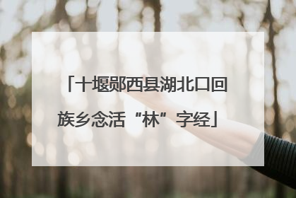 十堰郧西县湖北口回族乡念活“林”字经