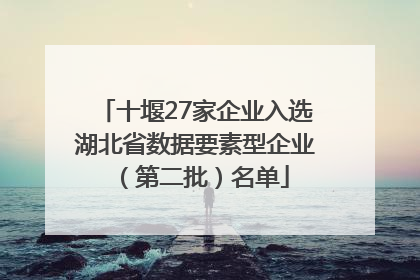 十堰27家企业入选湖北省数据要素型企业（第二批）名单