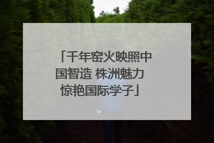 千年窑火映照中国智造 株洲魅力惊艳国际学子