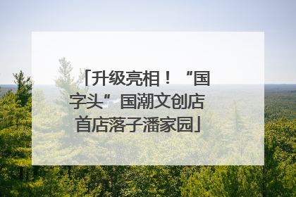 升级亮相！“国字头”国潮文创店首店落子潘家园