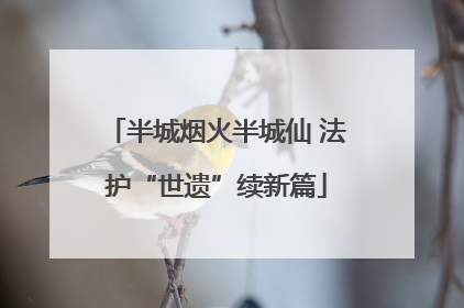半城烟火半城仙 法护“世遗”续新篇
