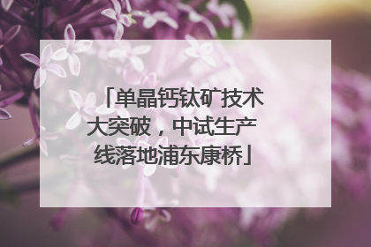 单晶钙钛矿技术大突破，中试生产线落地浦东康桥