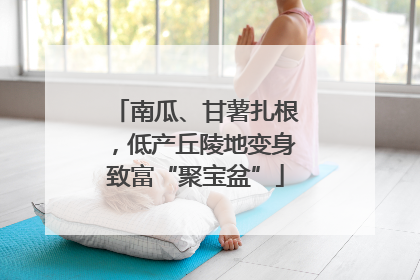 南瓜、甘薯扎根，低产丘陵地变身致富“聚宝盆”