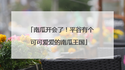 南瓜开会了！平谷有个可可爱爱的南瓜王国