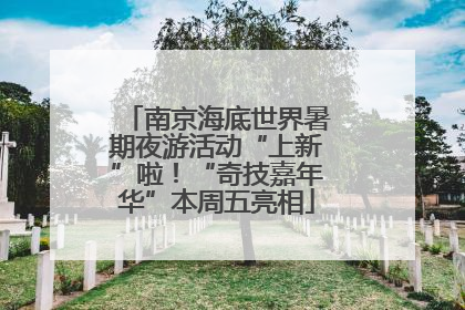 南京海底世界暑期夜游活动“上新”啦！“奇技嘉年华”本周五亮相
