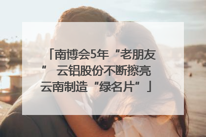 南博会5年“老朋友” 云铝股份不断擦亮云南制造“绿名片”