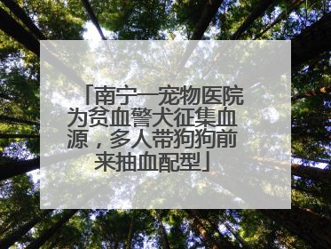 南宁一宠物医院为贫血警犬征集血源，多人带狗狗前来抽血配型