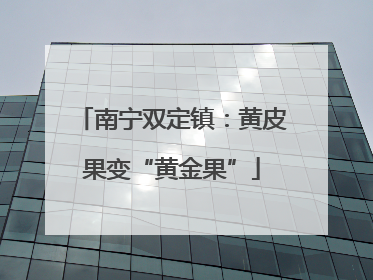 南宁双定镇：黄皮果变“黄金果”