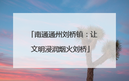 南通通州刘桥镇：让文明浸润烟火刘桥