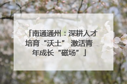 南通通州：深耕人才培育“沃土” 激活青年成长“磁场”