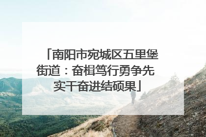 南阳市宛城区五里堡街道：奋楫笃行勇争先 实干奋进结硕果