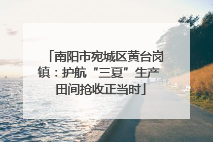 南阳市宛城区黄台岗镇：护航“三夏”生产 田间抢收正当时