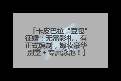 卡皮巴拉“豆包”征婚：无需彩礼，有正式编制，嫁妆豪华别墅＋专属泳池！