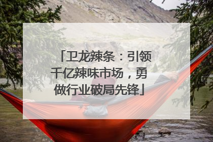 卫龙辣条：引领千亿辣味市场，勇做行业破局先锋