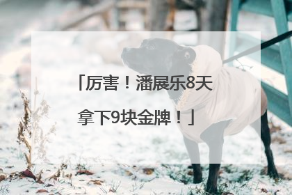 厉害！潘展乐8天拿下9块金牌！