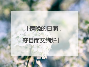 傍晚的日照，夺目而又绚烂