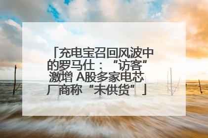 充电宝召回风波中的罗马仕：“访客”激增 A股多家电芯厂商称“未供货”