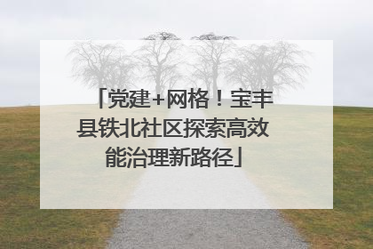党建+网格！宝丰县铁北社区探索高效能治理新路径