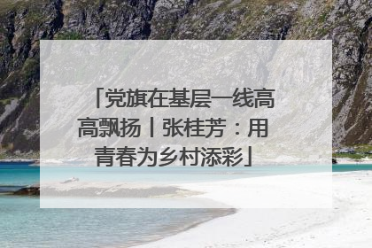 党旗在基层一线高高飘扬丨张桂芳：用青春为乡村添彩