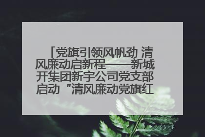 党旗引领风帆劲 清风廉动启新程——新城开集团新宇公司党支部启动“清风廉动党旗红”系列活动