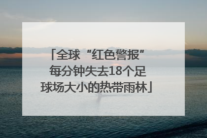 全球“红色警报”  每分钟失去18个足球场大小的热带雨林