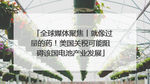 全球媒体聚焦丨就像过量的药！美国关税可能阻碍该国电池产业发展