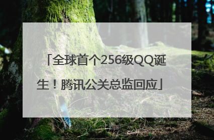 全球首个256级QQ诞生！腾讯公关总监回应