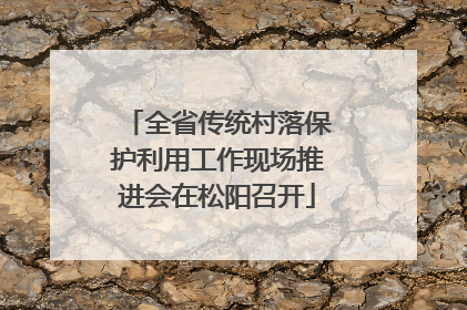全省传统村落保护利用工作现场推进会在松阳召开