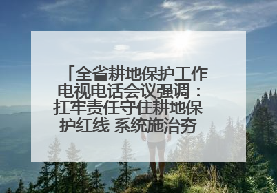 全省耕地保护工作电视电话会议强调：扛牢责任守住耕地保护红线 系统施治夯实粮食安全根基 王宁作出批示 王予波出席并讲话