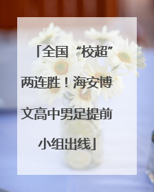 全国“校超”两连胜！海安博文高中男足提前小组出线