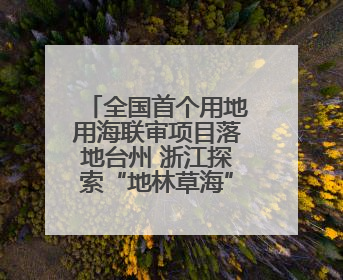 全国首个用地用海联审项目落地台州 浙江探索“地林草海”审批一次办
