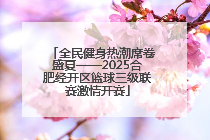全民健身热潮席卷盛夏——2025合肥经开区篮球三级联赛激情开赛