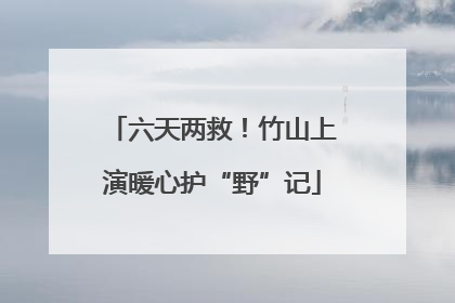 六天两救！竹山上演暖心护“野”记