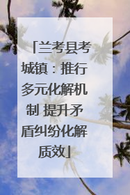 兰考县考城镇：推行多元化解机制 提升矛盾纠纷化解质效