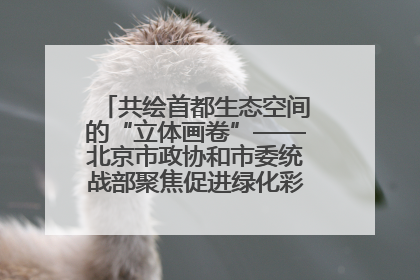 共绘首都生态空间的“立体画卷”——北京市政协和市委统战部聚焦促进绿化彩化美化生态空间建设联合协商议政
