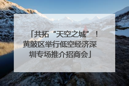 共拓“天空之城”！黄陂区举行低空经济深圳专场推介招商会