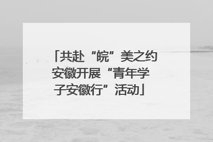 共赴“皖”美之约 安徽开展“青年学子安徽行”活动