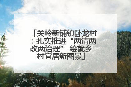 关岭新铺镇卧龙村：扎实推进“两清两改两治理” 绘就乡村宜居新图景