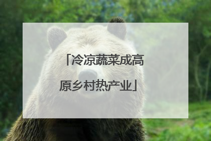 冷凉蔬菜成高原乡村热产业