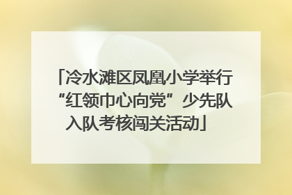 冷水滩区凤凰小学举行“红领巾心向党”少先队入队考核闯关活动