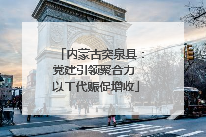 内蒙古突泉县：党建引领聚合力 以工代赈促增收