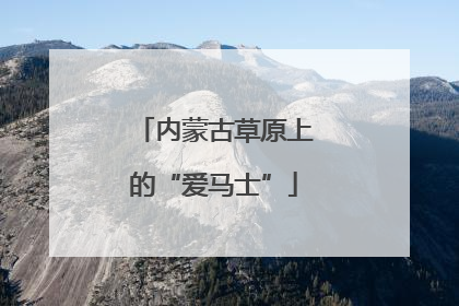 内蒙古草原上的“爱马士”