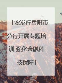 农发行岳阳市分行开展专题培训 强化金融科技保障