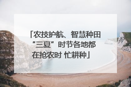 农技护航、智慧种田 “三夏”时节各地都在抢农时 忙耕种