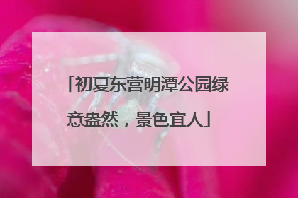 初夏东营明潭公园绿意盎然，景色宜人